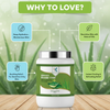 Aloe Vera Soothing & Hydrating Massage Cream | Kokakoshi